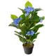 Closer2Nature 2ft 7 - Blue Hydrangea Plants - Artificial Plant; Faux Silk Flowers Indoor Plant Perfect for Home Decor - Kitchen, Lounge and Office