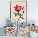 East Urban Home Vintage Rose Flower II - Print on Canvas Canvas/Metal in Red | 32 H x 24 W x 1.5 D in | Wayfair 7EC317A5976F4153A0AFB93AB4178520