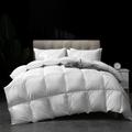Latitude Run® Luxury 100% Cotton All Season 700 Fill Power Feathers Down Comforter Down & Feather Blend/Goose Down in White | Twin | Wayfair