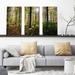 Loon Peak® Forest Trees - 3 Piece Wrapped Canvas Photograph Print Set Metal in Green | 32 H x 48 W x 0.75 D in | Wayfair