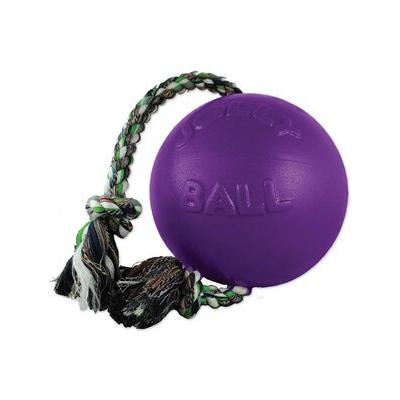 Jolly Pets Romp - N - Roll Dog Toy - 6" - Purple - Smartpak