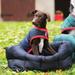 Rambo Waterproof Dog Blanket - X - Small - Navy with Red - Smartpak