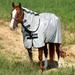 Amigo Stock Horse Fly Sheet - 70 - Silver/Black - Smartpak