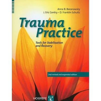 Trauma Practice: Tools For Stabilization And Recovery