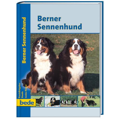 Berner Sennenhund - Louise Harper, Gebunden