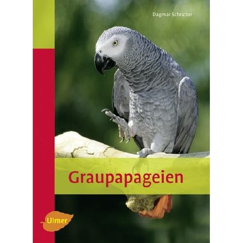 Heimtiere / Graupapageien - Dagmar Schratter, Kartoniert (TB)