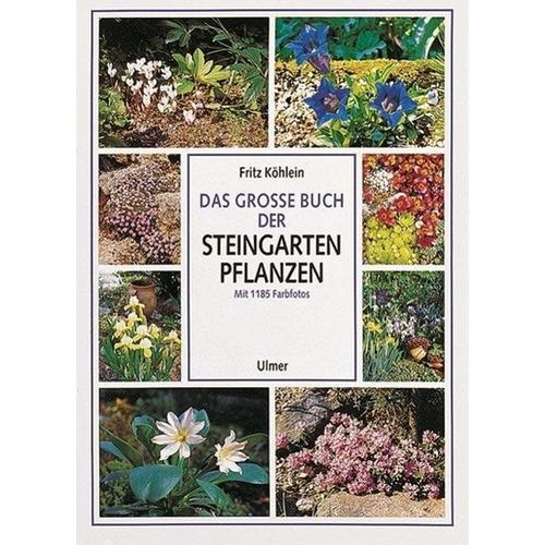 Das große Buch der Steingartenpflanzen - Fritz Köhlein, Gebunden