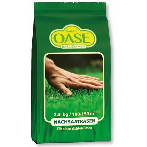 Grüne Oase Rasensamen Nachsaat 2,5 kg Grassamen Schnellwachsend Sportrasen