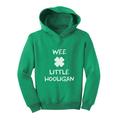 Tstars Boys Unisex Funny Humor Gifts for Irish St Patricks Day Cute Wee Little Hooligan Irish Kids St Patricks Day Shirts Gift for Boys Irish Shirt Pride Proud Irish Toddler Hoodie