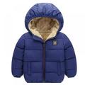 Best Cottoncandy Baby Kids Hooded Warm Winter Coat Puffer Down Jacket Long Sleeve Windproof Outerwear for boy 2 to 7 years