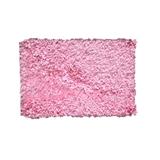 Bella Premium Jersey Shaggy Area Rug by Home Weavers Inc in Baby Pink (Size 60" X 96")