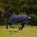 Amigo 1200D Bravo 12 Original Turnout Blanket - 78 - Medium (250g) - Navy w/ Strong Blue & Silver Trim - Smartpak