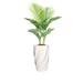 Vintage Home Artificial Faux Real Touch 5.34 Feet Tall Palm Tree With Fiberstone Planter - 64"