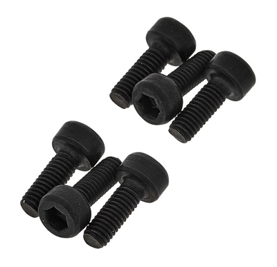 Floyd Rose Saddle Mounting Screws Black