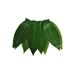 Child Leaf Hawaiian Skirt