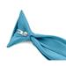 Moda Di Raza - Boy's NeckTie Solid Clip on Polyester Tie - Turquoise/11