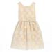 Sweet Kids Little Girls Champagne Flower Embroidered Special Occasion Dress 2-6