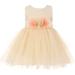 Baby Girl Sleeveless Lace Tulle Infant Toddler Baby Flower Girl Dress Ivory 2T CC 9042B BNY Corner