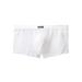 CVLIFE Men's Sexy Mesh Underwear Boxer Shorts Low Waist See-Through Sheer Swim Trunks Swimwear