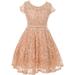 Little Girl Cap Sleeve Floral Lace Glitter Pearl Holiday Party Flower Girl Dress Blush 4 JKS 2102 BNY Corner