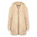 Causal Soft Hooded Pocket Fleece Plush Warm Faux Fur Fluffy Female Jacket Autumn Jacket Women Coat