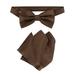 Vesuvio Napoli BowTie Dark Brown Paisley Color Mens Bow Tie & Handkerchief