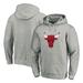 Chicago Bulls Fanatics Branded Big & Tall Primary Team Logo Pullover Hoodie - Heathered Gray