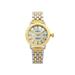 Shinola Runwell Two Tone Mother of Pearl Dial Quartz Ladies Watch 10000237 Pre-Owned