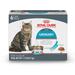 Feline Urinary Care Thin Slices in Gravy Wet Cat Food Multipack, 3 oz., Count of 6, 6 CT