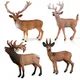 Figurines d'Action de Cerf en PVC pour Enfant Modèles d'Animaux Réalistes artificiel an Wapiti