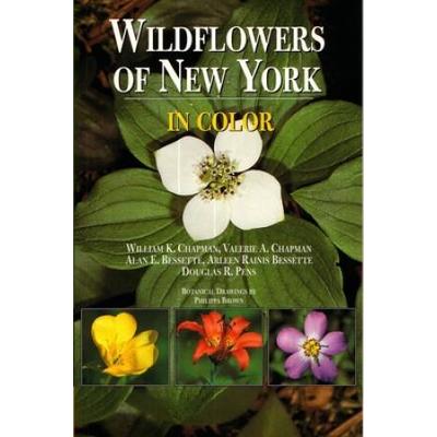 Wildflowers Of New York In Color