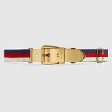 Gucci Accessories | Gucci Sylvie Web Belt With Square Buckle New With Dust Bag | Color: Blue/Red | Size: 85