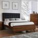 Coaster Furniture Robyn Dark Walnut Bed with Upholstered Headboard