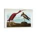 East Urban Home Scarlet Ibis by John James Audubon - Wrapped Canvas Painting Print Canvas in Brown/Green | 12 H x 18 W x 1.5 D in | Wayfair