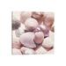 East Urban Home Shells & Glitter Square by Monika Strigel - Wrapped Canvas Photograph Print Canvas in Pink | 12 H x 12 W x 0.75 D in | Wayfair