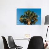 East Urban Home Charleston Palm Tree by Bethany Young - Wrapped Canvas Photograph Print Metal in Blue/Brown/Green | 26 H x 40 W x 1.5 D in | Wayfair