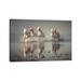 East Urban Home Camargue Horses by Rostovskiy Anton - Wrapped Canvas Photograph Print Canvas in Brown/White | 8 H x 12 W x 0.75 D in | Wayfair