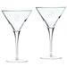 Syracuse Orange 2-Piece 10oz. Luigi Bormioli Titanium Martini Glass Set