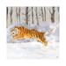 East Urban Home Siberian Tiger Running In The Snow by Andreea Dumez - Gallery-Wrapped Canvas Giclée Canvas | 12 H x 12 W x 0.75 D in | Wayfair