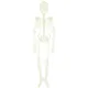 Bewegliches Skelett, glow-in-the-dark, 92 cm