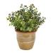 10" Eucalyptus and Sedum Succulent Artificial Plant in Ceramic Planter