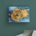 Winston Porter Sunflowers 1887 by Vincent Van Gogh - Wrapped Canvas Graphic Art Canvas, Wood in White/Black | 35 H x 47 W x 2 D in | Wayfair