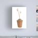 Dakota Fields Flowering Succulent Cut out 3 by Cora Niele - Wrapped Canvas Photograph Canvas in Brown/White | 24 H x 16 W x 2 D in | Wayfair