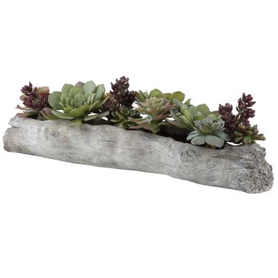 Uttermost Charita Lush Succulents