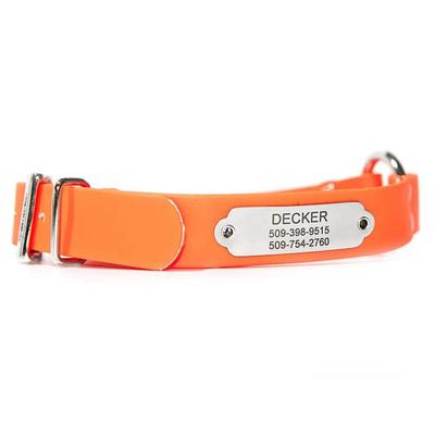GoTags Sporting Waterproof and Odor-Proof Dog Collar with Personalized Stainless Steel Nameplate, Orange, Large