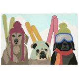 "Liora Manne Frontporch Ski Patrol Indoor/Outdoor Rug Multi 20""x30"" - Trans Ocean Import Co FTP12149544"