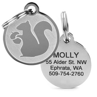 GoTags Personalized Squirrel Pet ID Tag for Dogs and Cats with Custom Engraving, Regular, Silver