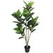 5ft Artificial Real Touch Rubber Plant Fig Leaf Tree in Black Pot - 59" H x 32" W X 30" DP