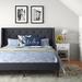 Andover Mills™ Petersen Tufted Low Profile Platform Bed Upholstered/Metal/Polyester in Gray/Black | 46.06 W x 79 D in | Wayfair