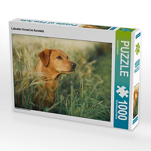 Puzzle Labrador foxred im Kornfeld Foto-Puzzle Bild von Cornelia Strunz Puzzle